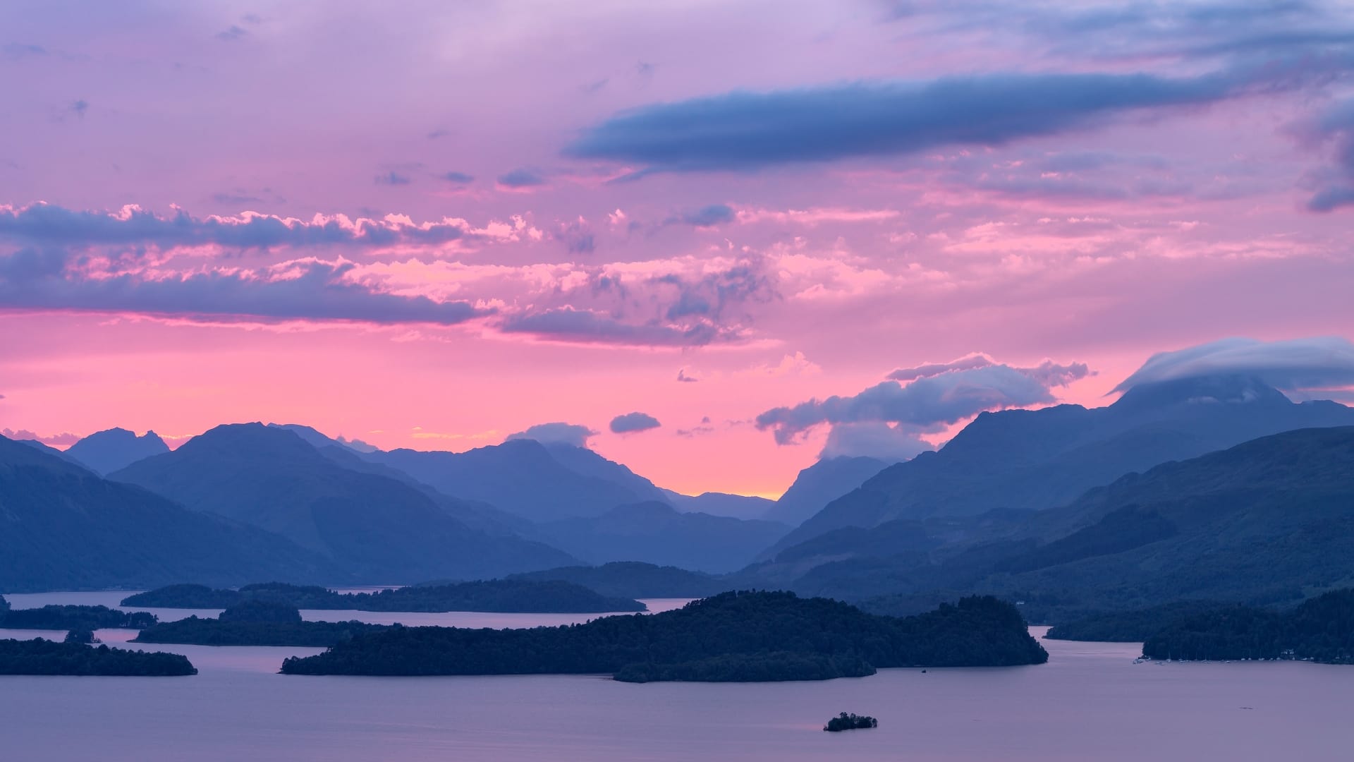 Xdown 下载工具使用